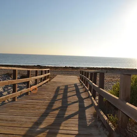 Coco Caline Dehesa de Campoamor (Orihuela Costa)